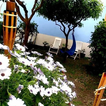Hostel 